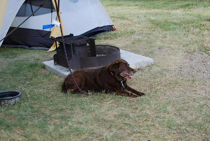 Camping in SD with my dogs